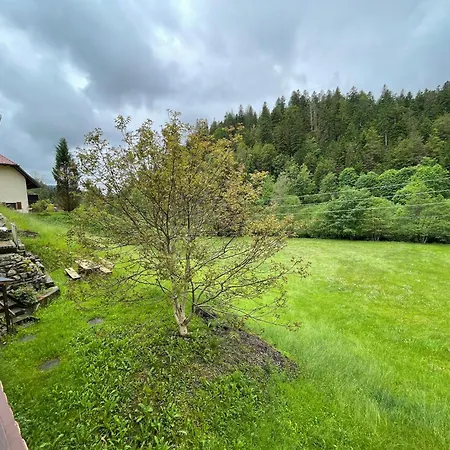 Schwarzwaldtraum Mit Balkon - Mein Schwarzwaldhaeusle Todtmoos