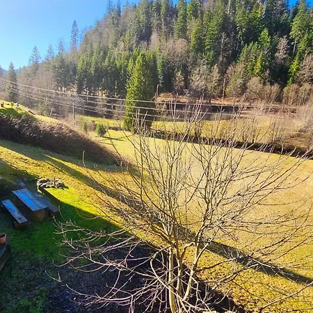 Appartamento Schwarzwaldtraum Mit Balkon - Mein Schwarzwaldhaeusle *