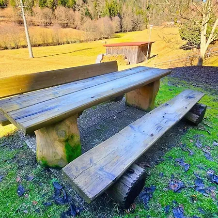 Schwarzwaldtraum Mit Balkon - Mein Schwarzwaldhaeusle * Todtmoos