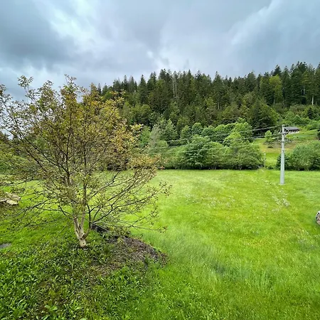 Schwarzwaldtraum Mit Balkon - Mein Schwarzwaldhaeusle Appartamento *